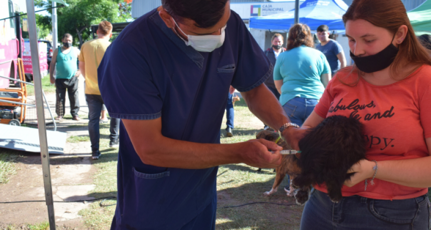 La castración gratuita de mascotas llega al barrio Mujeres Argentinas