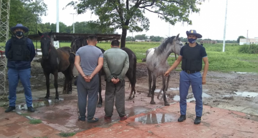 Entraron a un campo tras cortar el cerco de alambre y se llevaron tres caballos