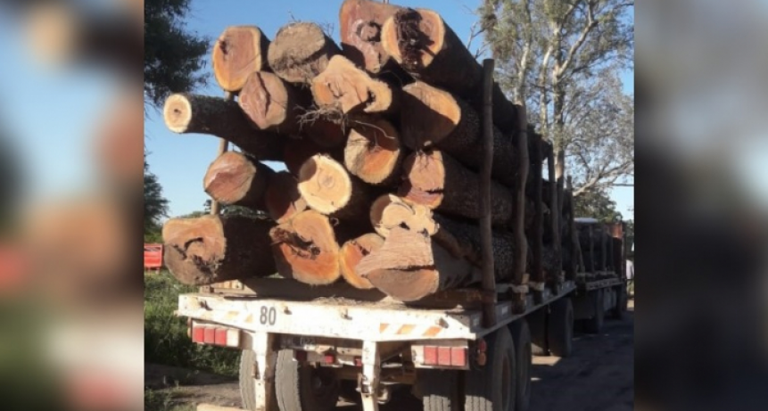 Secuestraron 30 toneladas de quebracho colorado por infracción a la Ley de Bosques