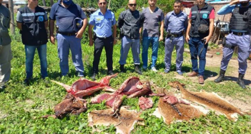 Sáenz Peña: Mataron a palazos ciervos del zoo y los carnearon para asarlos