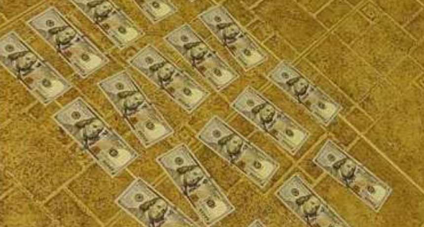 Robaron 1900 dólares y minutos despues fueron detenidos