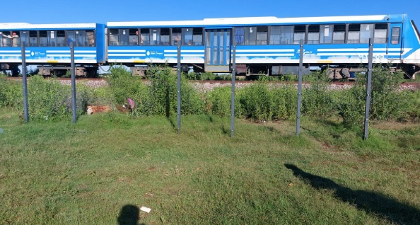Accidente de tren con 100 pasajeros a bordo: uno de los conductores se fracturó una pierna