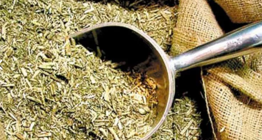 Corrientes: cayó por trasladar paquetes de yerba con sorpresa