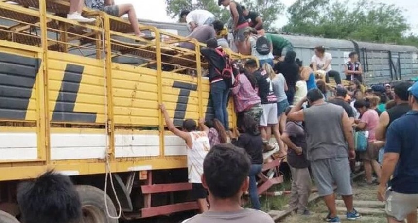 Un tren chocó un camión con vacas y los vecinos se hicieron un festín 