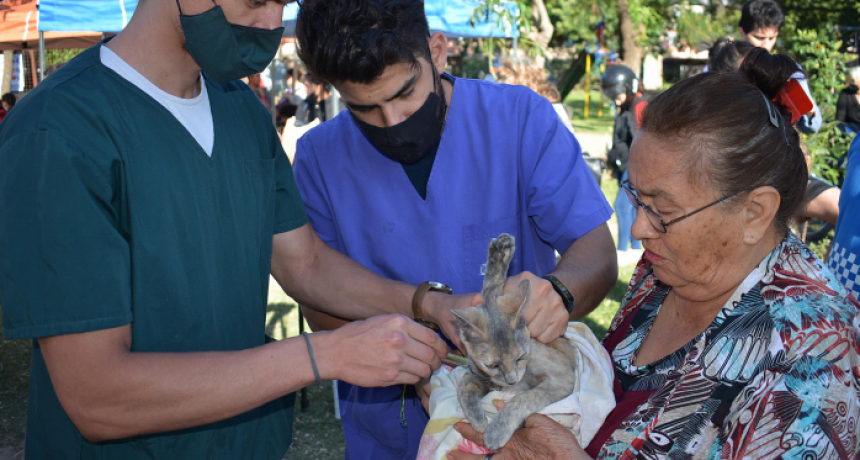 Resistencia: el Municipio realizó alrededor de 6 mil castraciones de mascotas en 2021